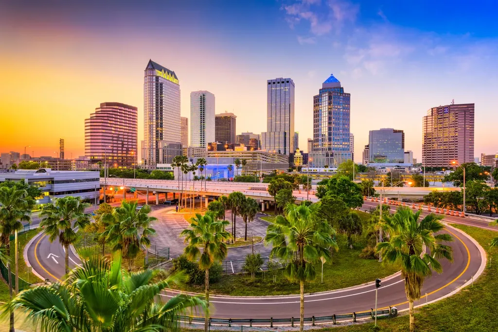 Downtown Tampa skyline at golden hour, with palm trees and a curving road in the foreground